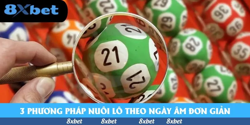3 phương pháp nuôi lô theo ngày âm đơn giản, hiệu quả